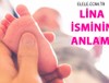 Lina İsminin Anlamı Nedir?