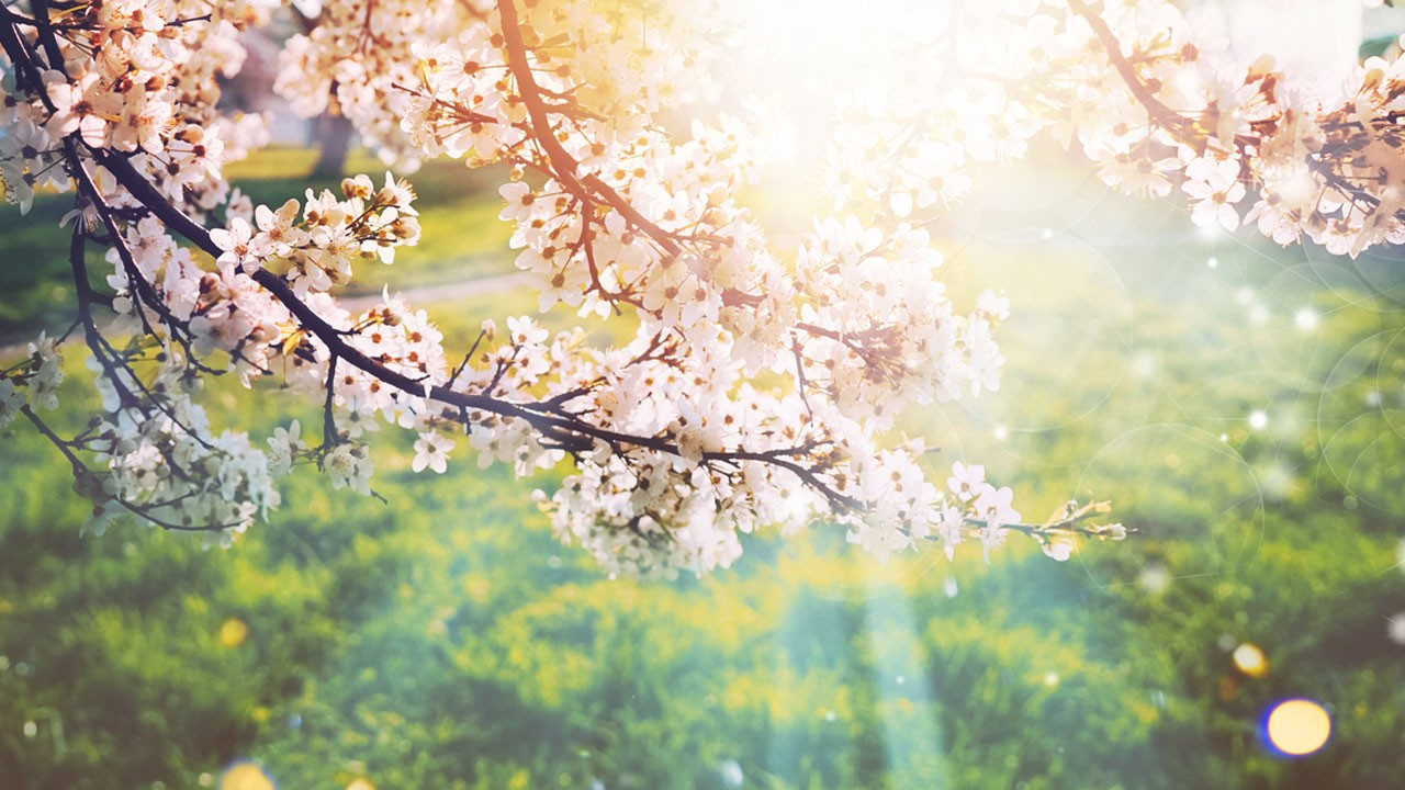 Cemre ne zaman düşecek? 2026 ilk cemre nereye düşecek?