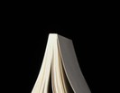 Ben saksı değilim, kitap okuyorum!