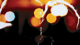 Seni öptüğüm yerde