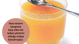 Mango, armut ve aloe vera