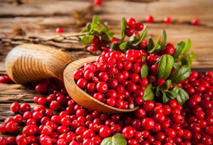 Cranberry (Turna Yemişi) - Faydaları neler? Zayıflatır mı?