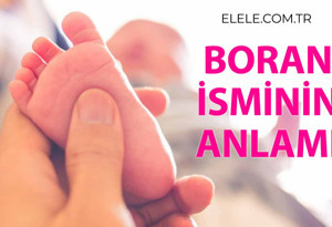 Boran İsminin Anlamı Nedir?
