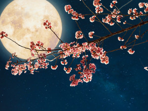 7 Ekim Koç dolunayının burçlara etkileri...