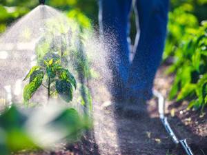 En sağlıklı sandığımız gıdalar nasıl tehlikeli hale geliyor?