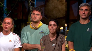 Survivor 2026 sarı takımda kimler var?