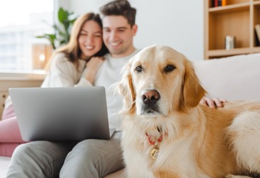 Evcil hayvanım yeni partnerimden hoşlanmıyor! Ne yapmalı?
