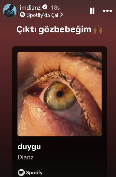 Survivor'daki yasak aşk evliliğini bitirmişti! Pişmanlık yaşayan Efecan Dianzenza eski eşi için şarkı yaptı - Resim : 1