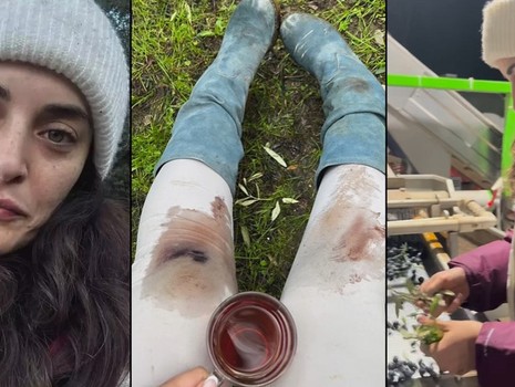 Aslıhan Gürbüz, Ayvalık'ta zeytin hasadına başladı