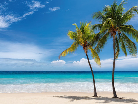 2025 yaz plaj stili: Örme bikiniler, asimetrik kesimler