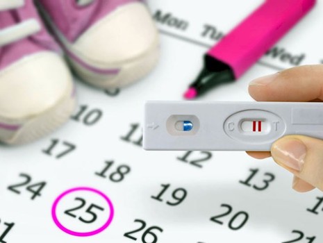 Ovulasyon (Yumurtlama) nedir? Yumurtlama dönemi nasıl hesaplanır?