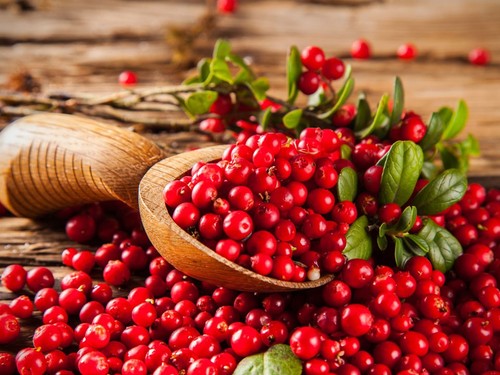 Cranberry (Turna Yemişi) - Faydaları neler? Zayıflatır mı?