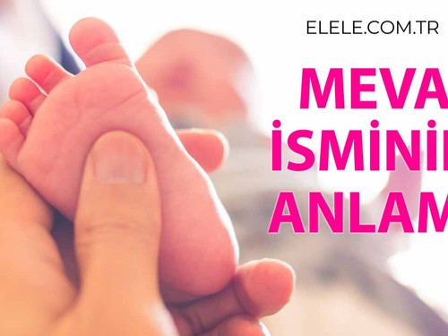 Meva İsminin Anlamı Nedir?