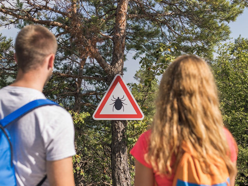 Kene riskine karşı doğru kıyafet seçimi
