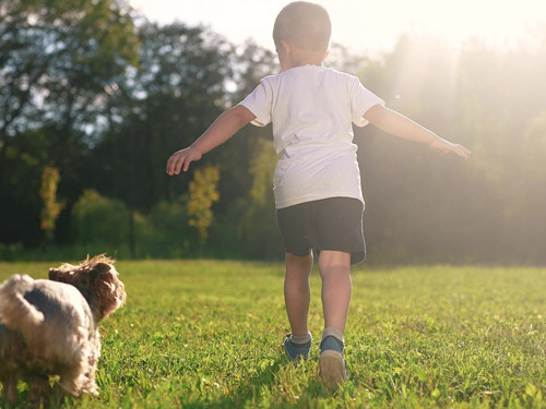 Köpekle büyüyen bebekler astıma karşı kalkan oluşturuyor