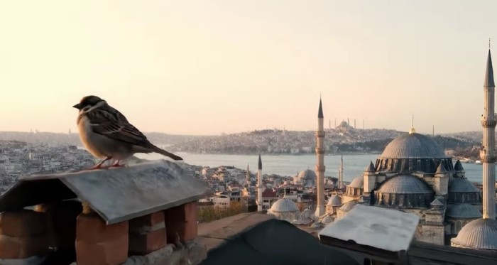 Sezen Aksu'nun klibi, Google'ın yapay zeka aracı ‘Veo 3’ ile oluşturuldu! - Resim : 2