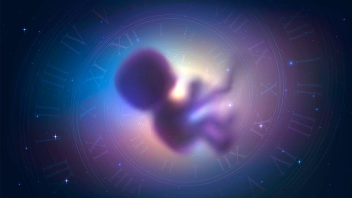 Karma astroloji nedir? Karma astrolojide evlerin anlamı ne? - Resim : 1