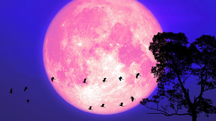 5 Kasım 2025 Kunduz Süper Dolunayı: Hangi burcu en çok etkileyecek: Aşk, para, sağlık - Resim : 3