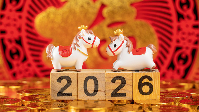 2026 &Ccedil;in Yeni Yılı ve At Senesi: &Ccedil;in Yeni Yılı ve Bahar Festivali - Resim : 5