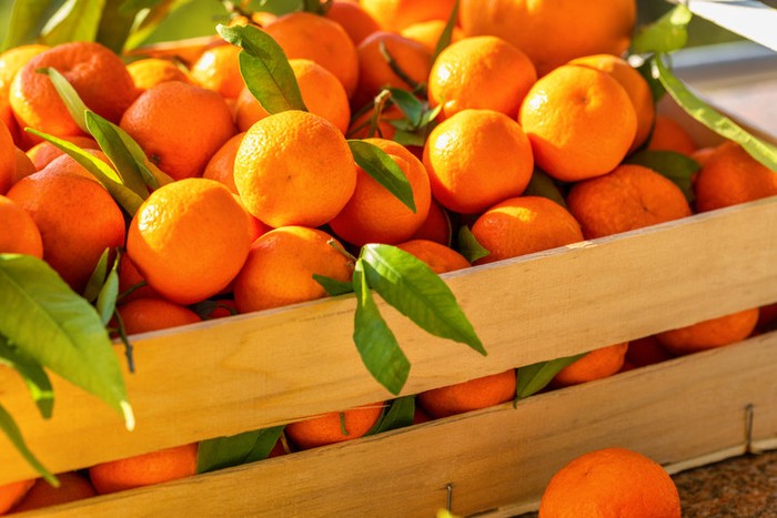 mandalina