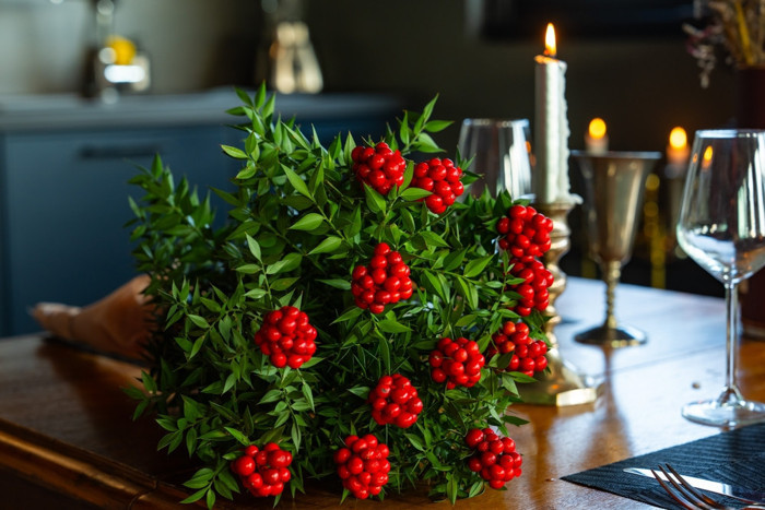 Kokina ne zaman alınır, nasıl bakılır? Kokina çiçeği suya konur mu? - Resim : 1