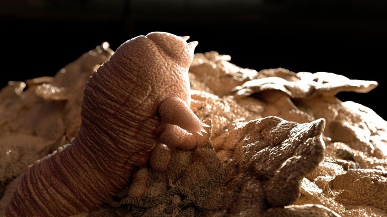 Demodex (Demodeks) nedir? Nasıl bulaşır? Demodex tedavisi nasıl olur? Ürkütücü gelse de insan yüzünde yaşıyorlar
