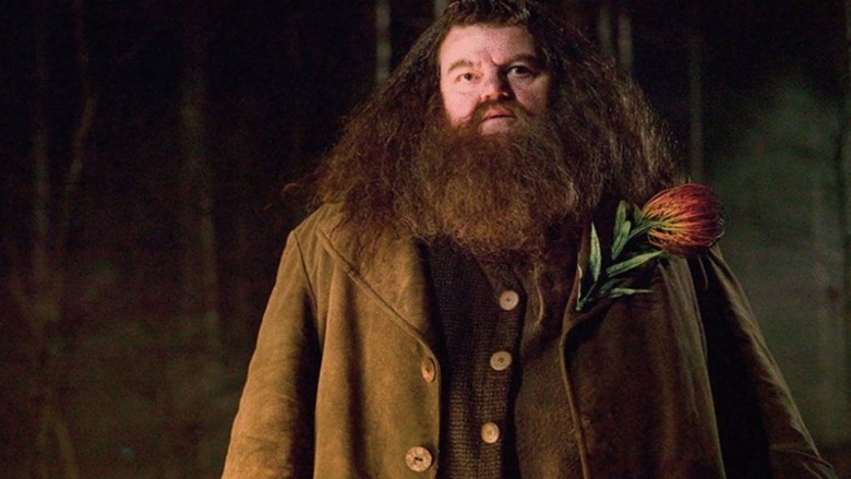 Harry Potter filmlerinin ünlü oyuncusu Robbie Coltrane hayatını kaybetti