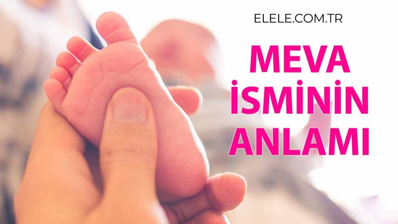 Meva İsminin Anlamı, Özellikleri ve Detaylı İsim Analizi