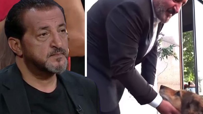 Mehmet Yalçınkaya 18 yıllık can dostunu kaybetti!