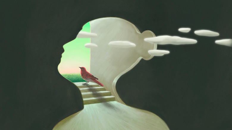 TikTok'ta viral olan ilişki testi: 'Kuş Teorisi' trendi