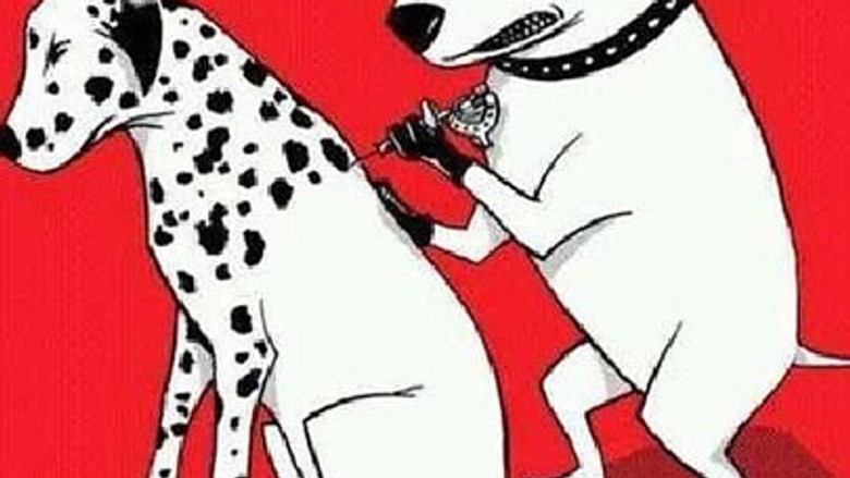 Uluslararası köpek dövme kayıt işlemi