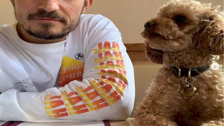 Orlando Bloom köpeğinin adını kalbine dövmeledi
