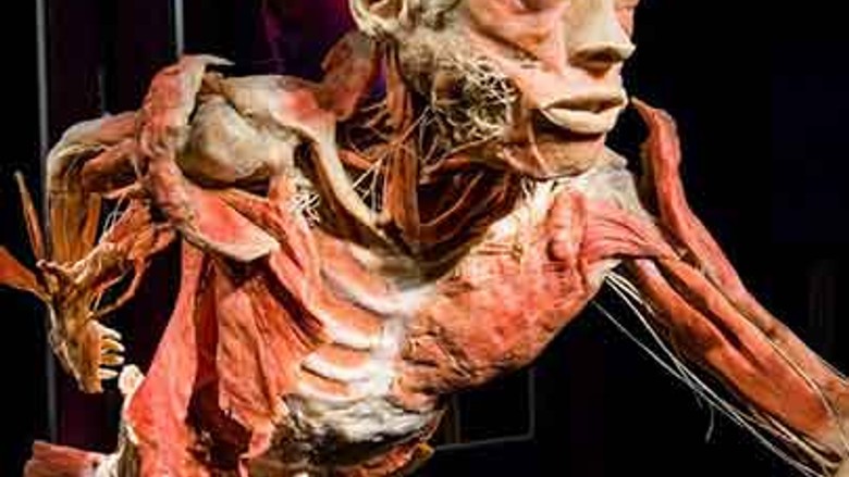 “The Human Body” sergisi hayatınızı değiştirecek!