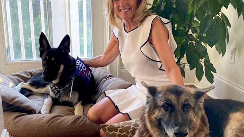 Beyaz Saray’ın ilk kurtarılmış köpeği: Major!