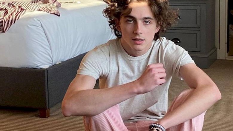 Timothee Chalamet’nin bir diğer projesi de askıya alındı